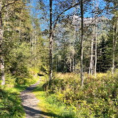 24-09-20 09-55-18 0943